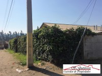 /album/en-venta-40-000-000-comuna-de-bollenar-a-2-minutos-de-av-principal-minimarket-centros-de-asistencia-publica-terreno-365-mt2-casa-de-60-mt2/img-0156-2-jpg/